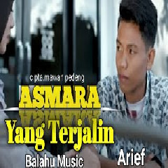 Download Lagu ARIEF - ASMARA YANG TERJALIN Mp3