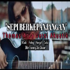 Download Lagu Thomas Arya - SEPI BERKEPANJANGAN -VERSI AKUSTIK  Mp3