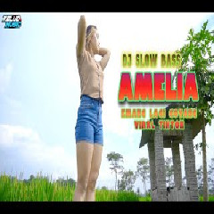 Download Lagu DJ AMELIA -  DI JOGETI IMELIA BASS GLERR SEKALI DI JAMIN BISA PARGOY Mp3