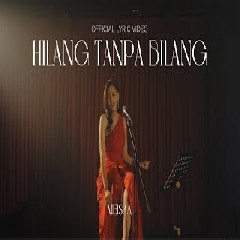 Download Lagu Meiska - Hilang Tanpa Bilang Mp3