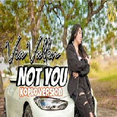 Download Lagu Vallen - Not You By Alan Walker X Emma Steinbakken Mp3