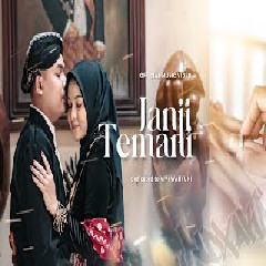 Download Lagu NDX AKA - Janji Temani Mp3