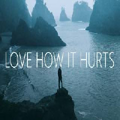 Download Lagu Exel johansson - Love how it hurts Mp3