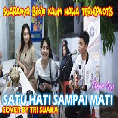 Download Lagu THOMAS ARYA COVER BY TRI SUAKA - SATU HATI SAMPAI MATI  Mp3