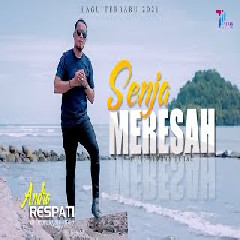 Download Lagu Andra Respati -  SENJA MERESAH Mp3